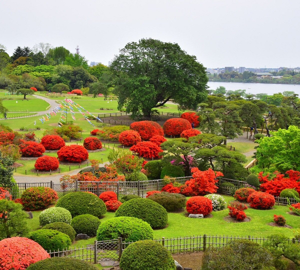 🏞️ 센바 공원 이미지 8